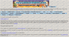 Desktop Screenshot of flyingbuffalo.com